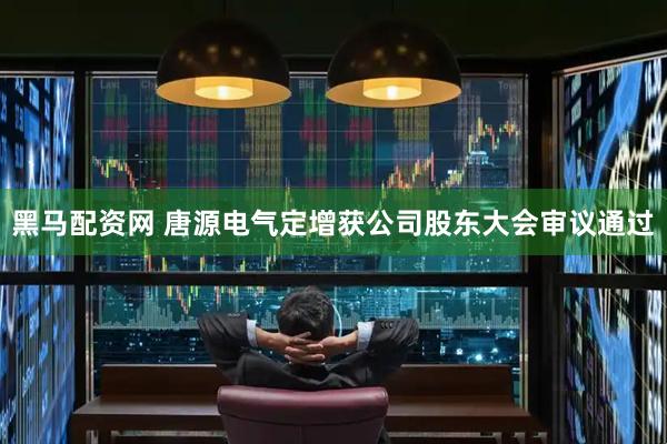 黑马配资网 唐源电气定增获公司股东大会审议通过