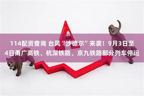 114配资查询 台风“沙德尔”来袭！9月3日至4日甬广高铁、杭深铁路、京九铁路部分列车停运
